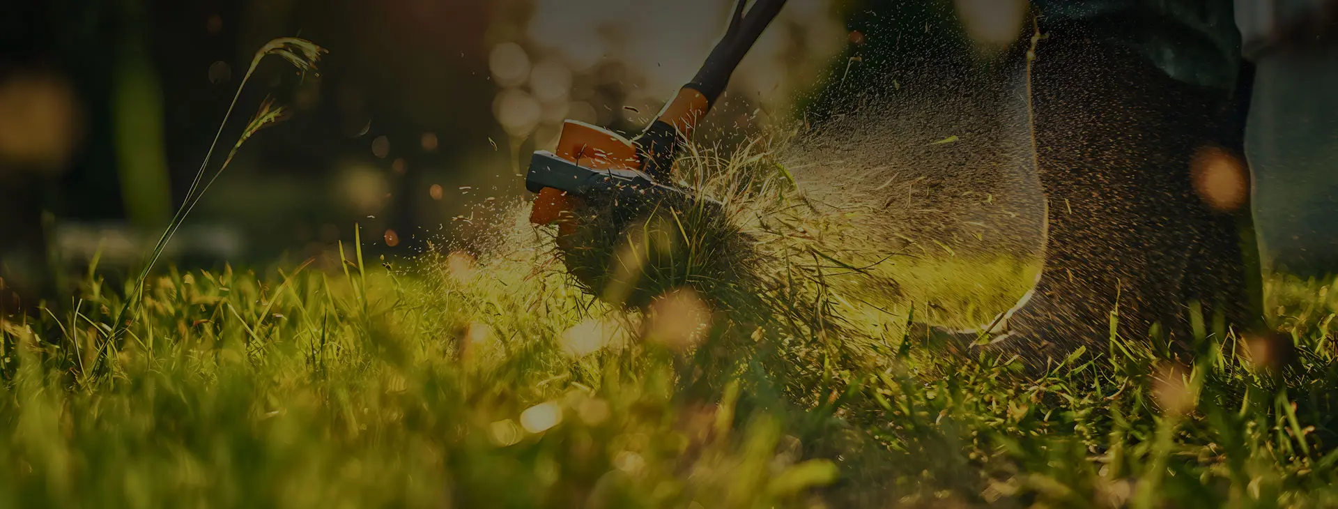 Débroussaillage de terrain professionnel, sur devis