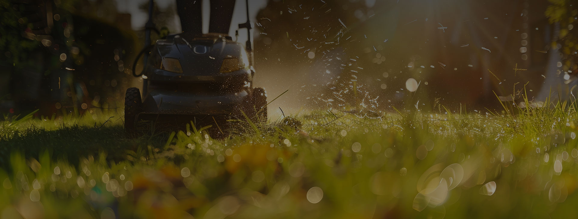 Tonte d’espaces verts, engazonnement sur mesure