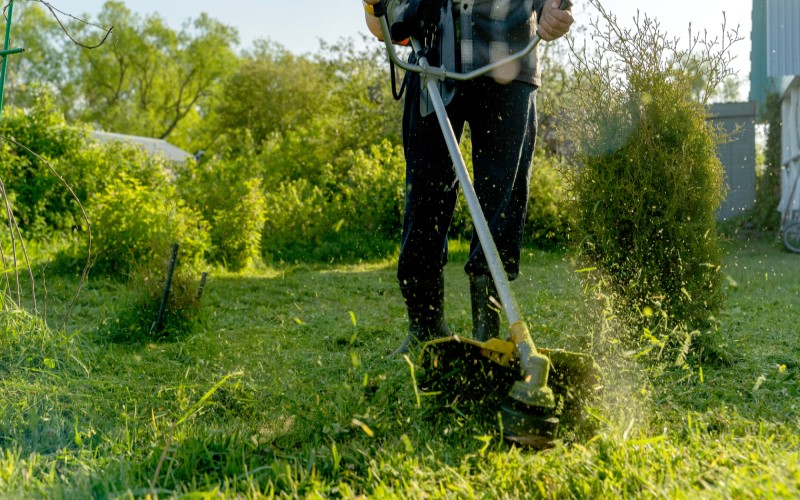 Entretien de jardins et espaces verts près de Caen