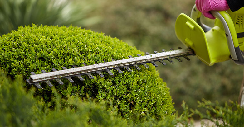Entretien de jardins et espaces verts près de Caen